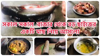 সকাল সকাল বাজার থেকে বড় ছাইজের একটি মাছ নিয়ে আসলো In the morning brought a large fish from market