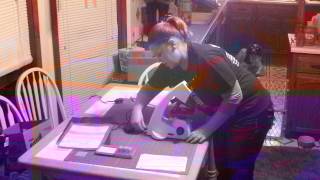 Proper care and handling of a microscope - Anna Lein