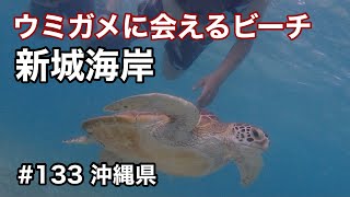 ウミガメに会えるビーチ！新城海岸（海の家わーら）【グルメ刑事の法則】沖縄県／第133回