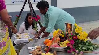 Indian Students Celebrate Pongal at PCTU Hostel | A Home Away From Home | MBBS in Vietnam #pongal