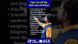 Tiger Cat అనే కొత్త జీవిని ఎక్కడ కనుగొన్నారు | A new species of #tigercat #generalknowledge