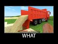 Minecraft wait what meme part 370 realistic minecraft Sand