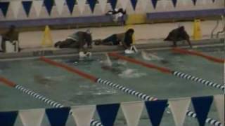 Mariah's Mix Swim Tape ( Flowers Jaguars ) 2011-12