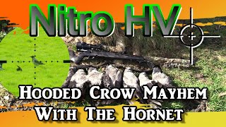 Nitro HV Hooded Crow Mayhem With The Hornet