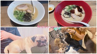 【吉祥寺】「一風堂」でラーメン「犬カフェRIO」で癒されたよ。