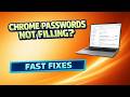 Chrome Passwords Not Autofilling? Fastest Fix Using Google Password Manager