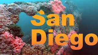 Wreck diving in SAN DIEGO - Yukon, Ruby E & NOSC Tower