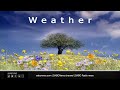 SA Weather | Thursday 22 April 2021 | #SABCWeather