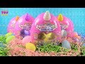 Rainbocorns Sequin Surprise Plush Egg Figure Unboxing Toy Review | PSToyReviews