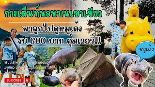 กางเต็นท์นอนบนสวนสัตว์เขาเขียว งบ 600 บาท ดูหมูเด้งก่อนใคร!! เที่ยวสวนสัตว์ฟรี 2 วัน 1 คืน |EP:171