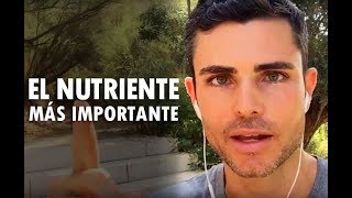 El Nutriente MÁS Importante, ¿Lo Adivinas?