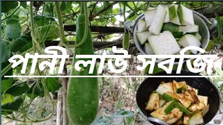 পানী লাউ সবজি। সহজ পদ্ধতি। Pani lau shobji.easy steps in natural life. first video #shaji's Recipe