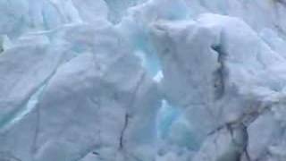 Glacier Bay Alaska 2002