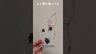 【うちの子も作って🐶】亡くなったワンちゃんの写真から針金で再現/犬ワイヤーアート/wire sculpture dog