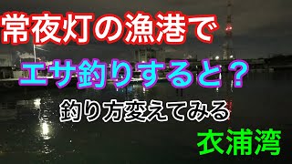 常夜灯の漁港でエサ釣りしたら？衣浦湾