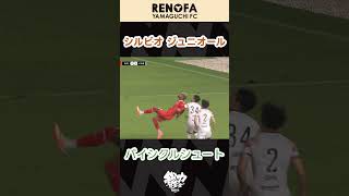 シルビオ ジュニオール選手 バイシクルシュート