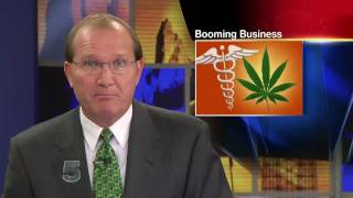 NF5 News: How Medical Marijuana Boosts the Indy's Bottom Line