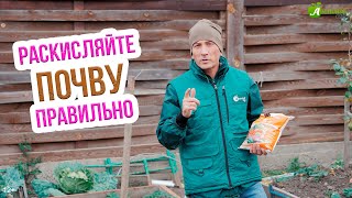 Раскисление почвы осенью. Как раскислить почву на огороде - САМЫЕ ЭФФЕКТИВНЫЕ СПОСОБЫ!