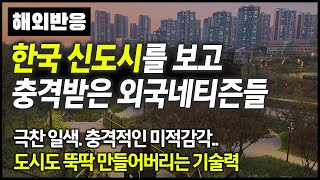 한국 신도시로 이사 온 미국인 \