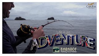 Never Stop Exploring with Cape Fox Lodge \u0026 Baranof Fishing