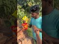 ￼ aapko kon sa pasand hai ￼😍 maggi shortvideo viral