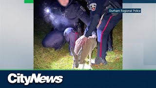 Missing kangaroo found safe in Oshawa