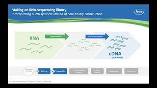 Ask a Scientist: How does RNA sequencing work?