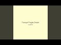 Tranquil Fragile Dream