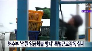 해수부 '선원 임금체불 방지' 특별근로감독 실시[목포MBC 뉴스데스크]