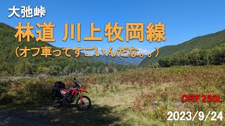 大弛峠 林道 川上牧岡線 CRF250L