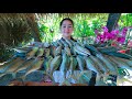 Amazing Cooking Fish Steaming Corn Sauce - Cooking With Sros