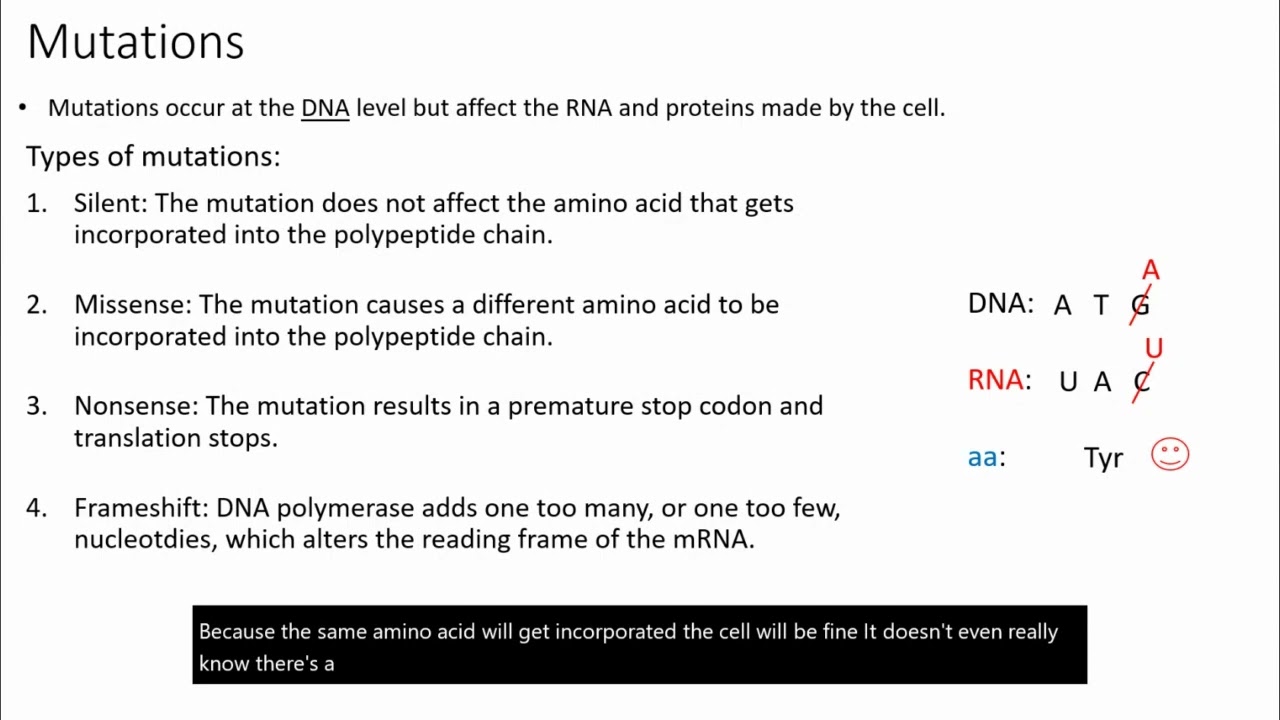 Mutations Silent Missense Nonsense And Frameshift Youtube
