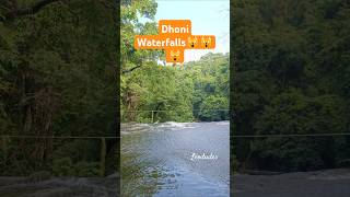 Dhoni waterfalls #youtubeshorts #shorts #palakkad