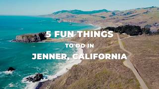5 Fun Things to Do Along the Northern California Coast