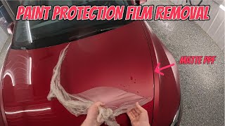 How Do You Remove PPF? Full Vehicle Matte PPF Removal In Under 1 Hour