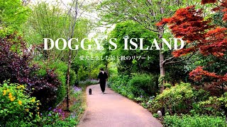 【旅行vlog】愛犬のお誕生日にドギーズアイランドに宿泊 | 犬のディズニーランド