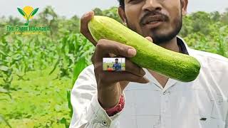 कृष और कुमुद को लेकर क्या बोले किसान ||#thefarmmanager