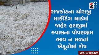 રાજકોટના ધોરાજી માર્કેટિંગ યાર્ડમાં જાહેર હરાજીમાં કપાસના પોષણક્ષમ ભાવ ન મળતાં ખેડૂતોમાં રોષ જોવા મળ