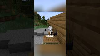 Tego NIE WIEDZIAŁEŚ! Kocur w Minecraft? Bala SIANA bez logiki! #minecraft