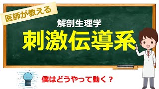 苦手だった人はこれで克服してくらげ【看護学生向け / 看護師国家試験対応】