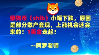 柴狗币（shib）小幅下跌，原因是部分散户套现，上涨机会还会来的！1美金走起！--数字货币区块链投资，火币，okex，币安交易所视频教程