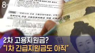 2차 고용지원금? \