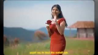 හැමොම හොයපු song eka රූචායා