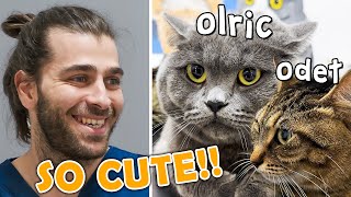 THE CUTEST CATS! ( Veterinary Visit of 2 Adorable Cats! )