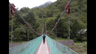 北岳の花