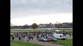 Live Querdenken Demo Düsseldorf 15.11.2020