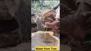 ഹോളി Water