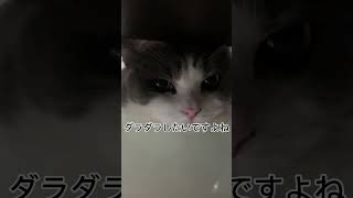 最近のレオンくんのお気に入りの過ごし方がこちらです