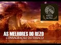 SELEÇÃO COM AS MELHORES MÚSICAS PARA O REZO DO TABACO NO CACHIMBO 1 - Xamanismo