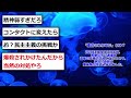 【岸田文雄まとめ】演説中に「増税メガネ」とヤジを飛ばした男を追い出す